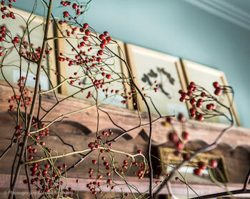 Dijver - Serene Escape In The Heart Of Historic Appartamento Bruges